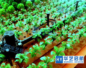 農(nóng)業(yè)沙盤(pán) 農(nóng)業(yè)沙盤(pán)設(shè)計(jì)方案