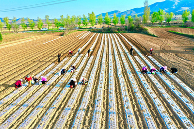 不負(fù)農(nóng)時(shí)鬧春忙