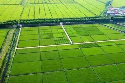 從國家農(nóng)業(yè)綜合開發(fā)辦2018年工作要點(diǎn)看農(nóng)業(yè)的幾大商機(jī)