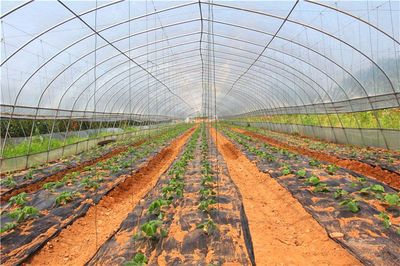 宜昌嘉馥農(nóng)業(yè)開發(fā)