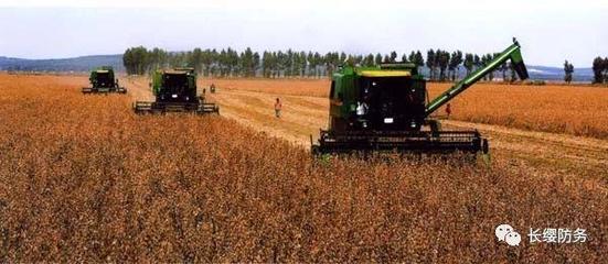 俄當局向中國提供100萬公頃遠東地區土地用于農業開發