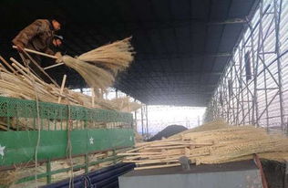 托克遜工業園區拓寬衛星工廠產品銷售 助力精準脫貧