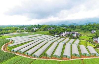 璧山 培育農業新業態，城鄉融合書新卷