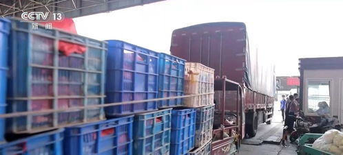 一季度農業農村經濟實現開門穩開門紅，發展勢頭持續向好