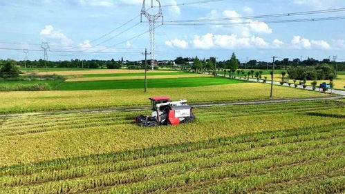 構建343現代農業發展新格局，加快推進鄉村振興高質量發展