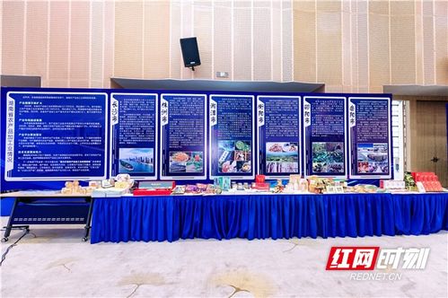 農博現場丨簽約金額超45億，湖南農業招商引資對接會助力中部農產品加工業發展