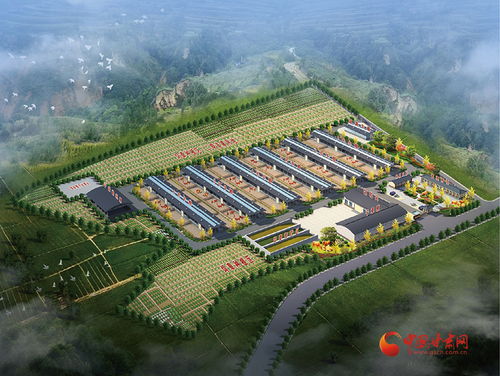 涇川加快培育新質生產力，激活農業產業發展新動能