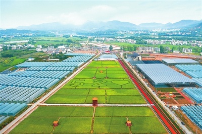 江西贛州 深耕富硒沃土，繪就現(xiàn)代農(nóng)業(yè)新圖景