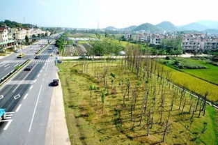浙江公路鐵路沿線顏值大比拼，你猜麗水城鄉(xiāng)市容管理排第幾？