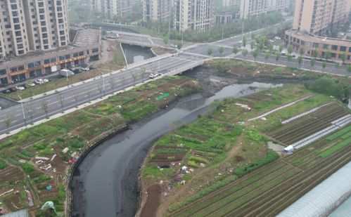 城鄉市容管理再亮劍 省級督察組通報銅陵、宣城、蕪湖、安慶等地問題