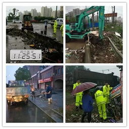 城鄉結合部市容市貌管理大有文章可做——瑞昌城管實踐探索